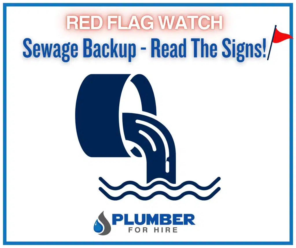 Red Flag Watch: Sewage Backup Signs