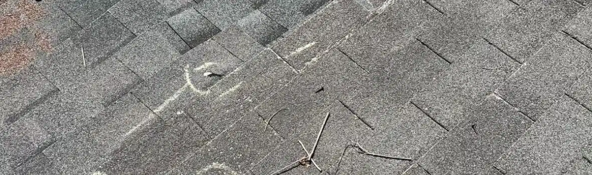 Roof Leak Repairs: What Homeowners & Property Managers Need to Know
